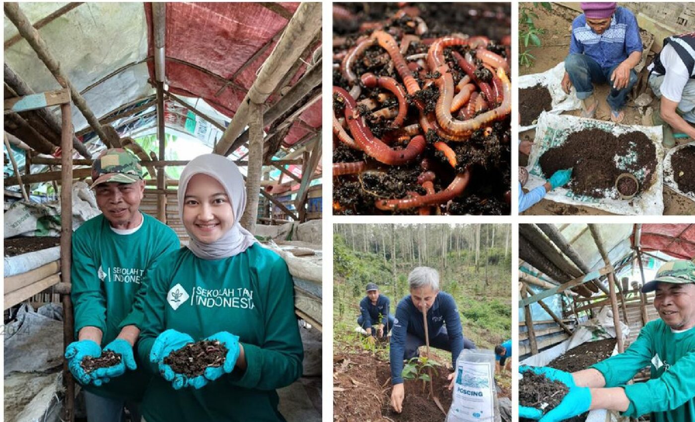 Program SUISTAINAGRO